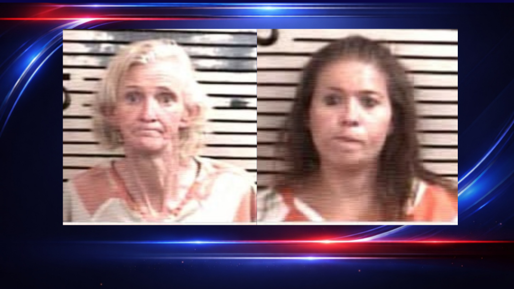 Two Arrested On Meth Charges After Traffic Stop - Wiregrass Daily News