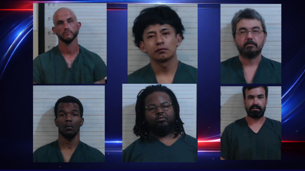 Six Arrested In Enterprise Human Trafficking Operation - Wiregrass ...